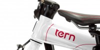 tern